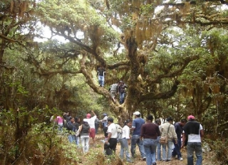 Excursion de caminata
